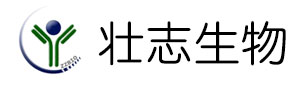 Alternate Text
